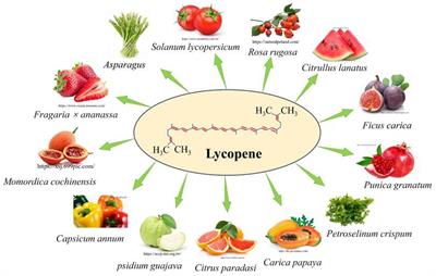 Physicochemical properties, mechanism of action of lycopene and its application in poultry and ruminant production